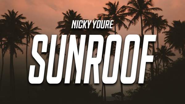 Sunroof Guitar Chords by Nicky You're